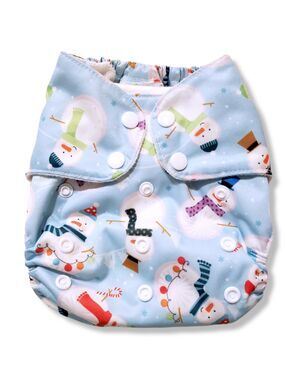Blueberry OS Frosty Pocket  Cloth Diaper Bamboo